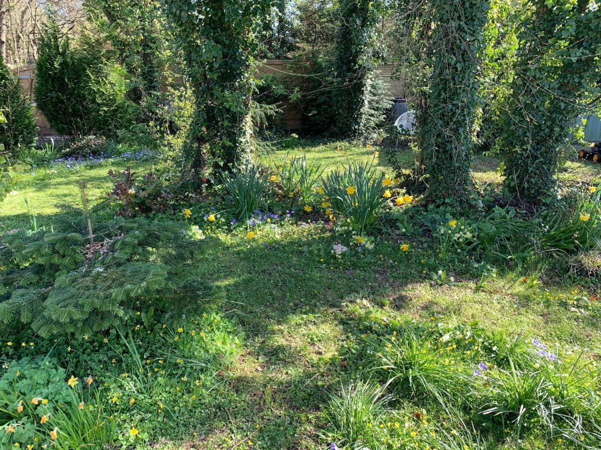 Villa Castle View Annex Wareham Esterno foto